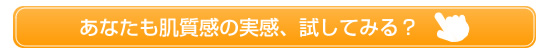 試してみる?