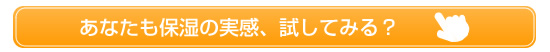 試してみる?