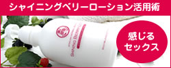 �V���C�j���O�x���[���[�V�������p�p
