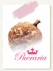 �v�G�����A�P�O�O�������^�ʐ^�P