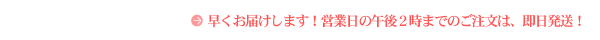 グラマラスバタフライホット００３を早くお届けします