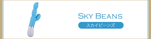 バイブの使い方講座|スカイビーンズ