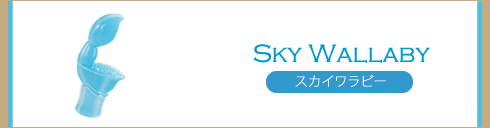 バイブの使い方講座|スカイワラビー