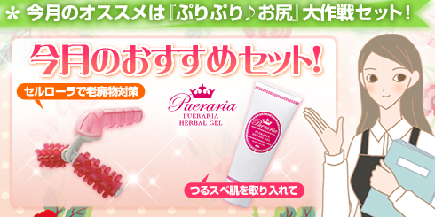 今月のおすすめセット