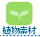 ���S�̐A���f��/�}���������r�[ 