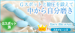 �X�J�C�r�[���Y