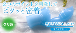 �X�J�C�����r�[