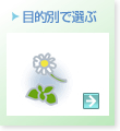 �����ʂőI��