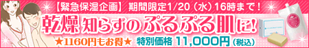 ジャムウ・ビューティーバブル&プエラリア1L