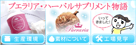 �v�G�����A����