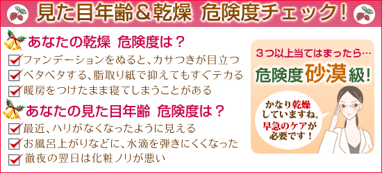 送料無料企画/乾燥チェックシート