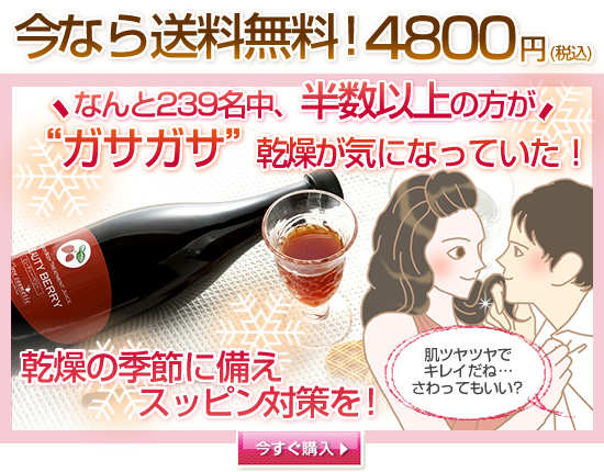 送料無料企画/ビューティーベリー