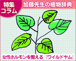 �������炷���҂���l�^���C���h�����ɂ���
