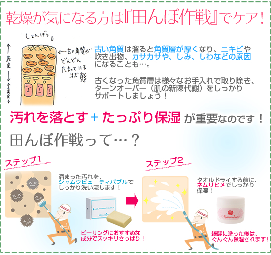 �c��ڗ��_���/�r���[�e�B�o�u����������