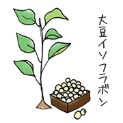 平均バストサイズ日本地図/大豆イソフラボン