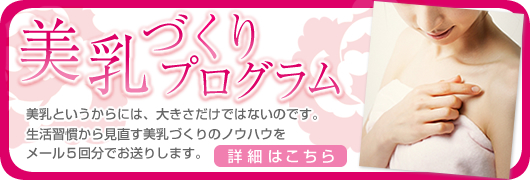 美乳づくりプログラム