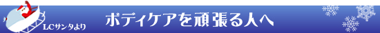 �T���^����N���X�}�X�Z�[��2011�b�{�f�B�P�A