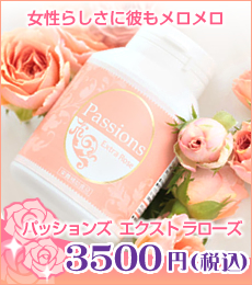 �n�ƍՁb�p�b�V�����Y�@�G�N�X�g���@���[�Y