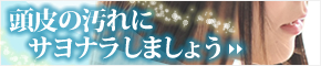 ジャムウの歴史|バナー6