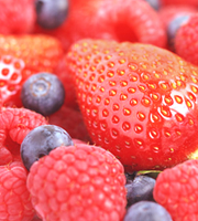 �g���P�A�E�x���[�Ńg���[����������