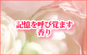 �k�b������^�^Phrase:14
