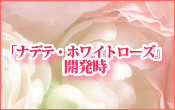 �k�b������^�^Phrase:5