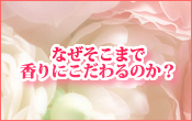 �k�b������^�^Phrase:6