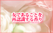�k�b������^�^Phrase:7