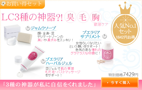 ���������Z�b�g