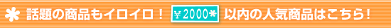 2000�~�ȓ��̂������ߏ��i