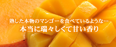 ���菤�i�^�Ƃ�Ƃ�}���S�[����