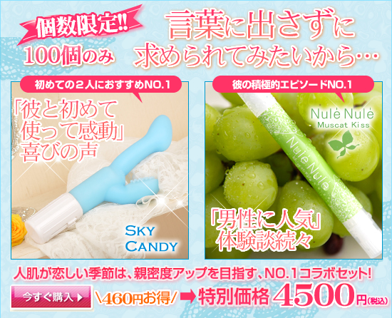 �ϋɓI�X�C�b�`/�摜2