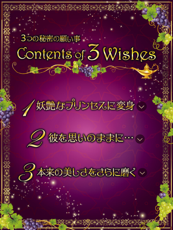 ブドウ企画 目次