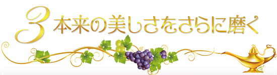 ぶどう企画 願い3
