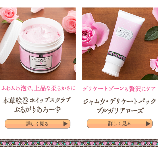 特集ページへ戻る