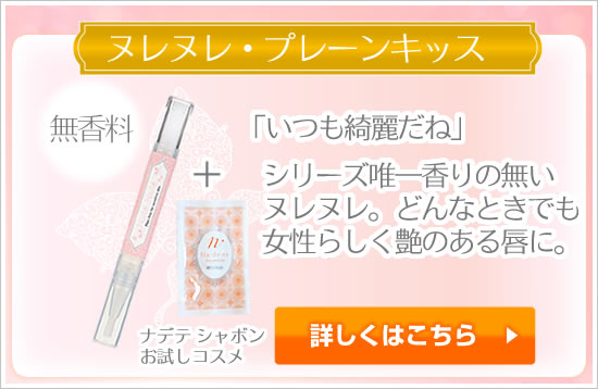 ヌレヌレプレーン