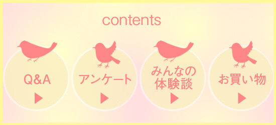 目次