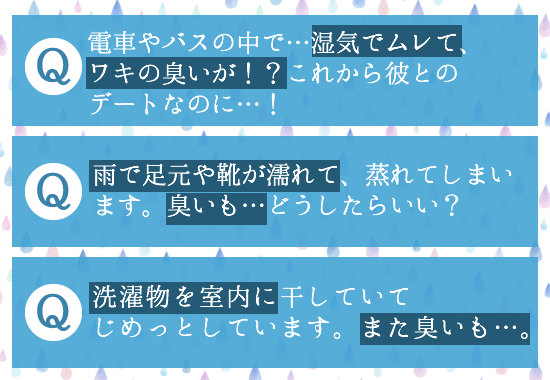 目次