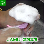ジャムウ コストパフォーマンス実験写真2