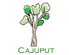 LC�W�����E�E�s�[�����O�o�u��/�J���v�e