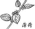 ハッカ(薄荷)で足くさいを洗う