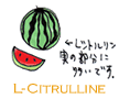 ウルトラエレクションズ/L-シトルリン