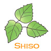 シソ葉エキス/本草絵巻 しろつやびじん薩摩みかん