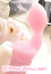 �h�b�s���N�����r�[�̑f�ނƂ������̂��b