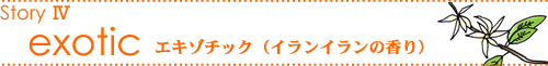 �G���e�B�b�N�Ɗ��\�̍���