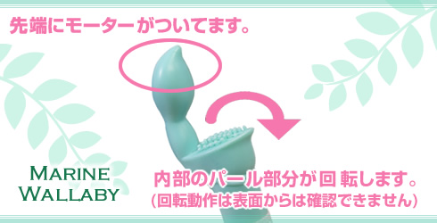 マリンワラビー 通販
