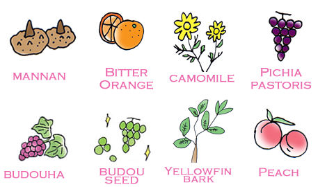 成分イラスト