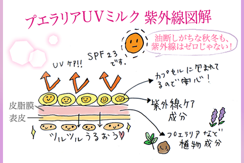 プエラリアUVミルク紫外線図解