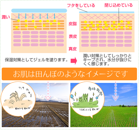 田んぼ作戦の詳細