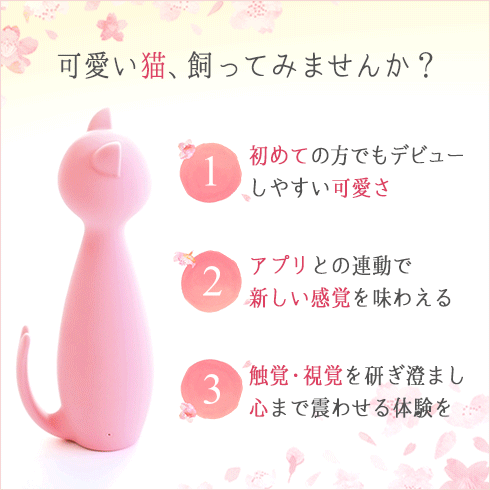 可愛い猫、飼ってみませんか?